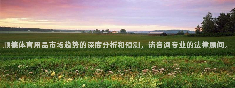 fb体育娱乐40996：顺德体育用品市场趋势的深度分析和预测