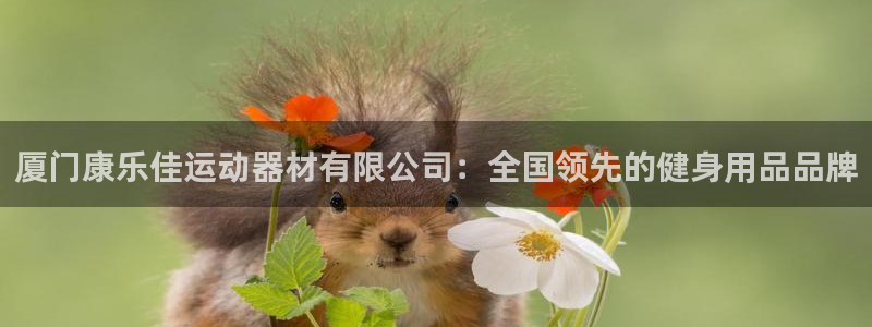 fb体育集团官网网址：厦门康乐佳运动器材有限公司：全国领先的