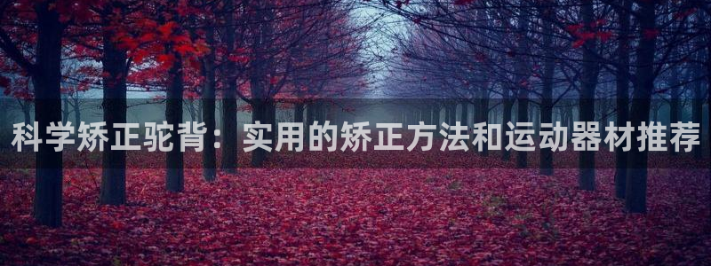 fb体育官方客服电话：科学矫正驼背：实用的矫正方法和运动器材
