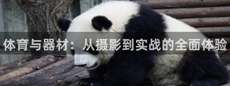 fb体育平台是正规平台吗安全吗：体育与器材：从摄影到实战的全