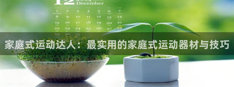 fb体育平台注册流程视频：家庭式运动达人：最实用的家庭式运动