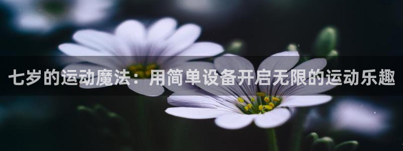 fb体育平台注册要钱吗安全吗：七岁的运动魔法：用简单设备开启