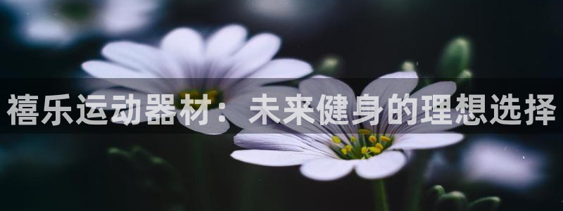 fb体育官方：禧乐运动器材：未来健身的理想选择