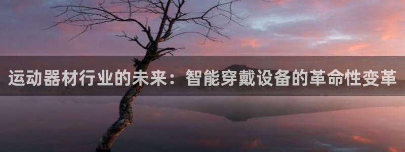 fb体育官方：运动器材行业的未来：智能穿戴设备的革命