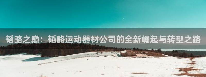 fb体育集团：韬略之巅：韬略运动器材公司的全新崛起与