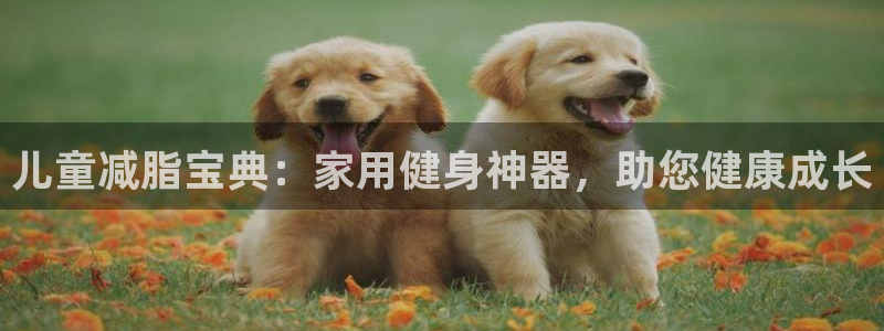 fb体育招商电话是多少：儿童减脂宝典：家用健身神器，助您健康