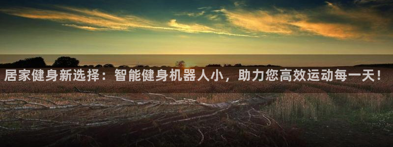fb体育平台是正规平台吗：居家健身新选择：智能健身机