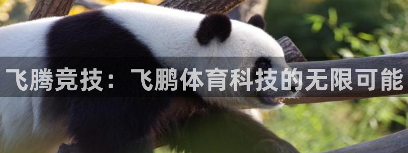 fb体育娱乐网站：飞腾竞技：飞鹏体育科技的无限可能