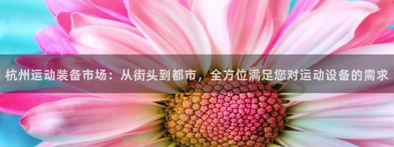 fb体育平台是正规平台吗：杭州运动装备市场：从街头到都市，全