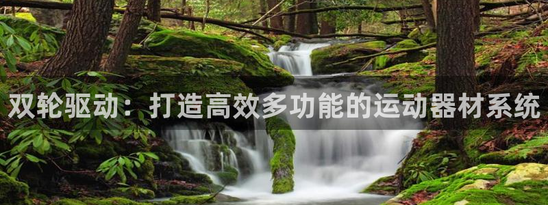 fb体育招商电话号码是多少啊：双轮驱动：打造高效多功