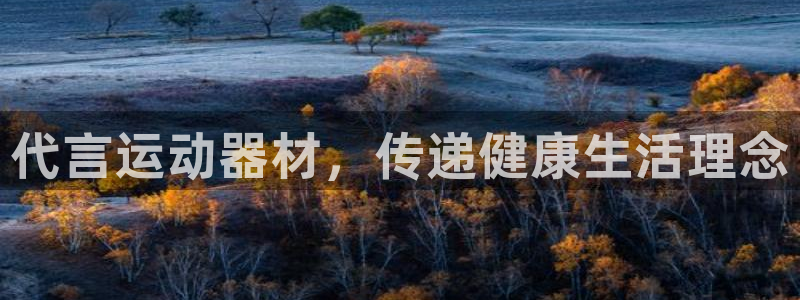 fb体育