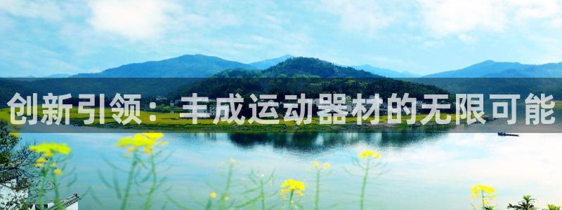 fb体育集团logo：创新引领：丰成运动器材的无限可能