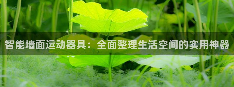 fb体育平台：智能墙面运动器具：全面整理生活空间的实用神器