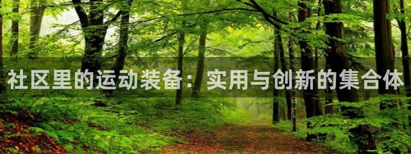 fb体育平台假的吗是真的吗：社区里的运动装备：实用与创新的集