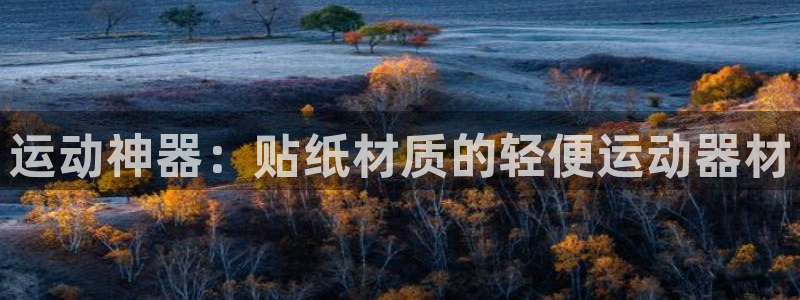 fb体育招商电话是多少：运动神器：贴纸材质的轻便运动器材