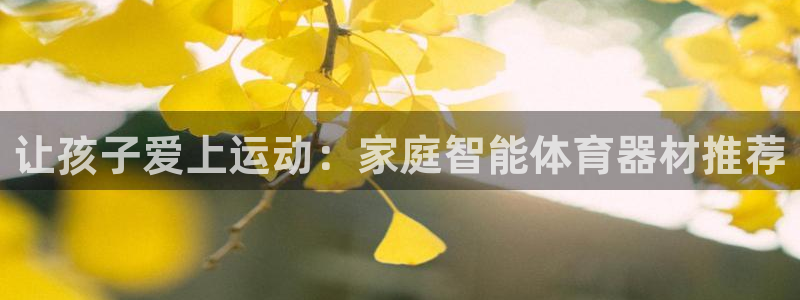 fb体育开户：让孩子爱上运动：家庭智能体育器材推荐