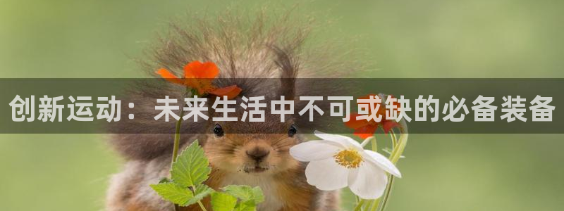 fb体育招商电话号码查询是多少：创新运动：未来生活中